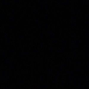 Meet your Posher, Elli